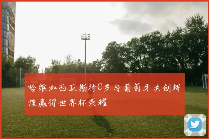哈维加西亚期待C罗与葡萄牙共创辉煌赢得世界杯荣耀
