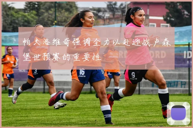 帕夫洛维奇强调全力以赴迎战卢森堡世预赛的重要性