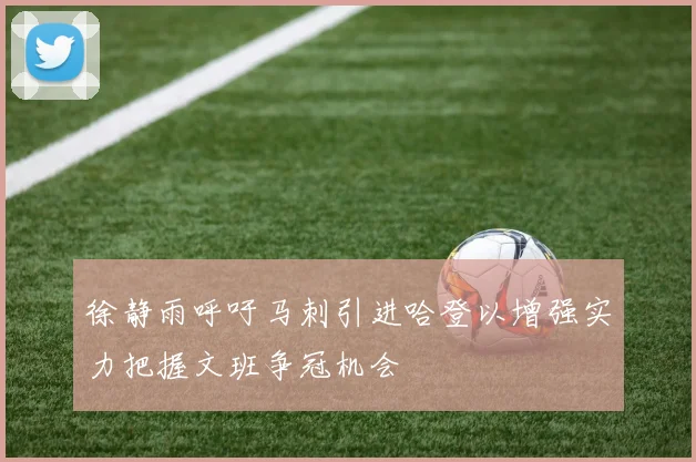 徐静雨呼吁马刺引进哈登以增强实力把握文班争冠机会